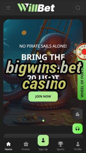 bigwins.bet casino-asdasdzhjkds.com