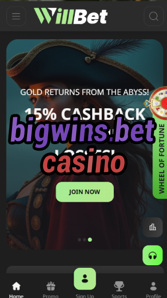 bigwins.bet casino-asdasdzhjkds.com